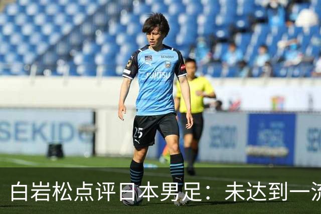白岩松点评日本男足：未达到一流强队标准，仍需克服对荷兰的恐惧